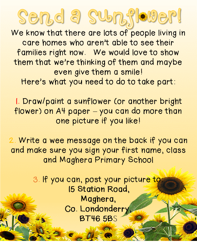 Send a Sunflower Showing Support for Care Homes!