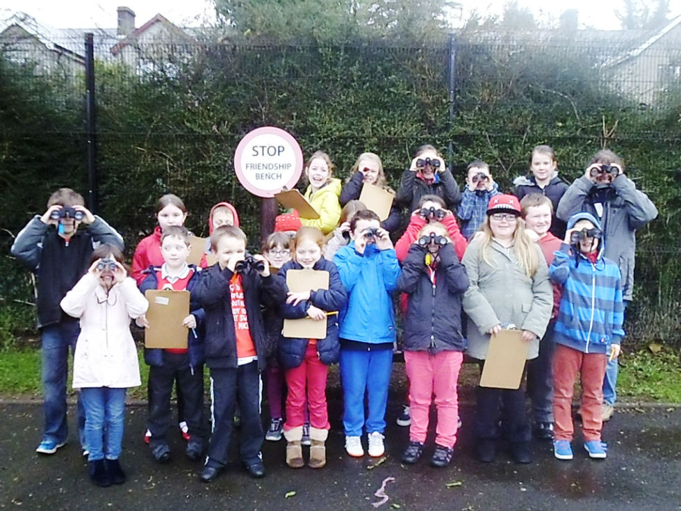 Big School's Birdwatch P4/5 Style