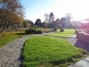 P6 News:- Our Amazing Garden