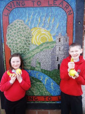 P6 News:- Fruity Friday