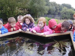 P1/P2 Nature Detectives